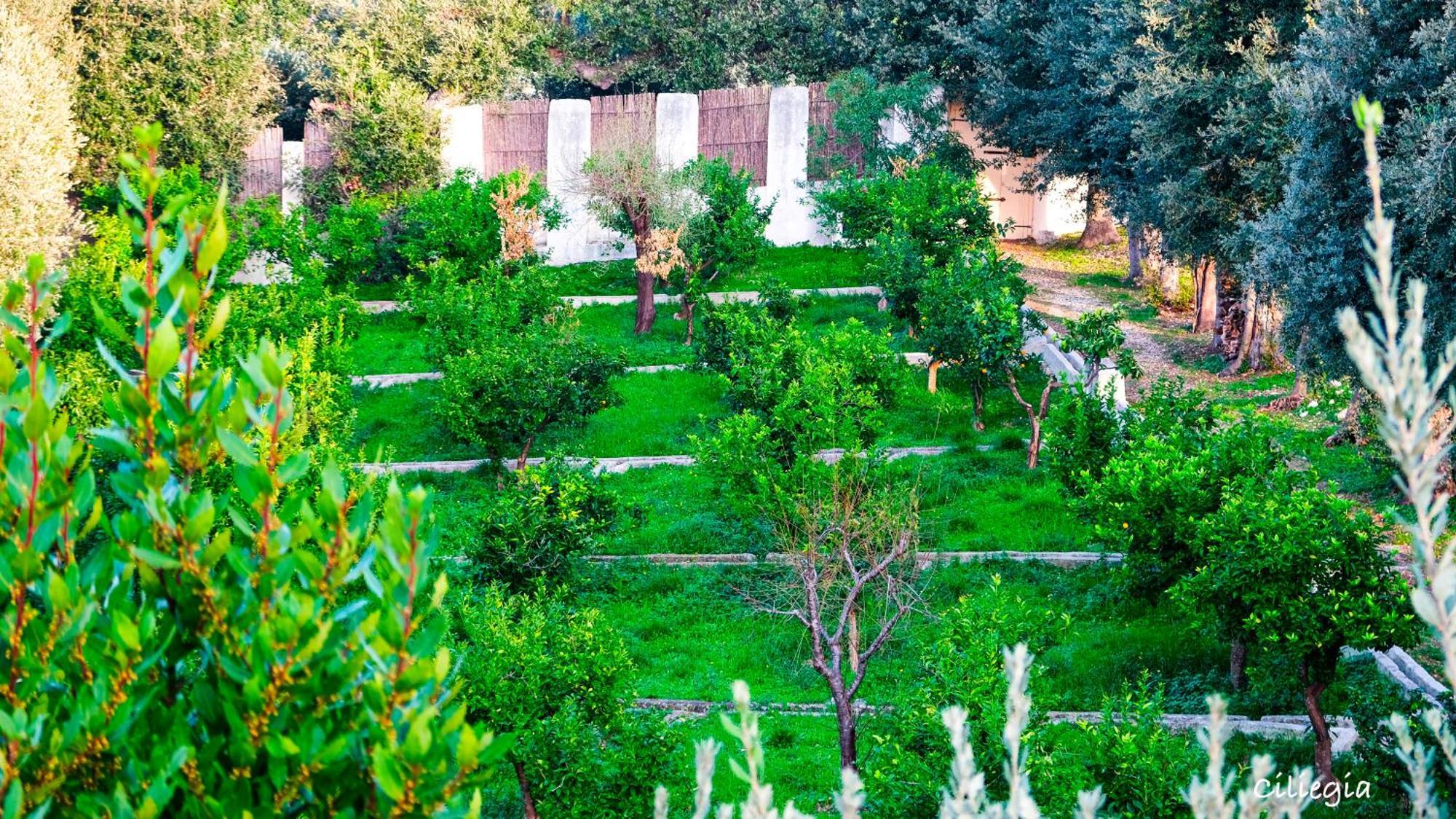Bed and Breakfast I Frangiventi Роді-Гарганіко Екстер'єр фото